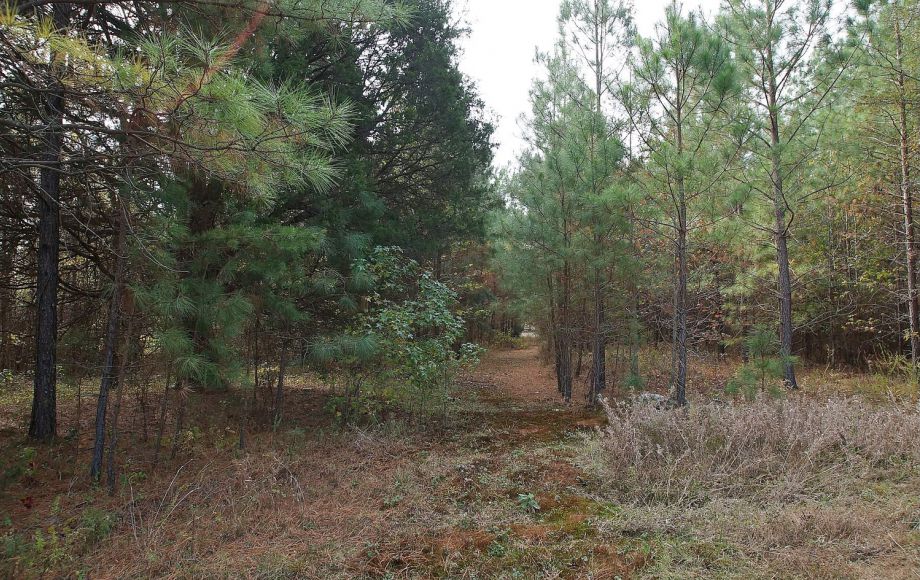 Image for HICKORY KNOLLS FARM: 200 +/- ACRES w/5 BR RESTORED VICTORIAN FARM HOUSE