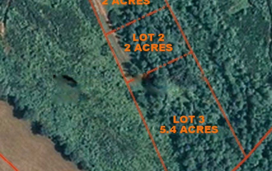 Image for ABSOLUTE ONLINE ONLY AUCTION—3 BUILDING LOTS IN ORANGE COUNTY, VA