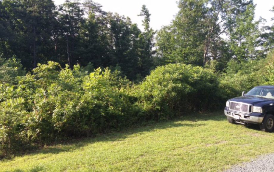 Image for ABSOLUTE ONLINE ONLY AUCTION—3 BUILDING LOTS IN ORANGE COUNTY, VA