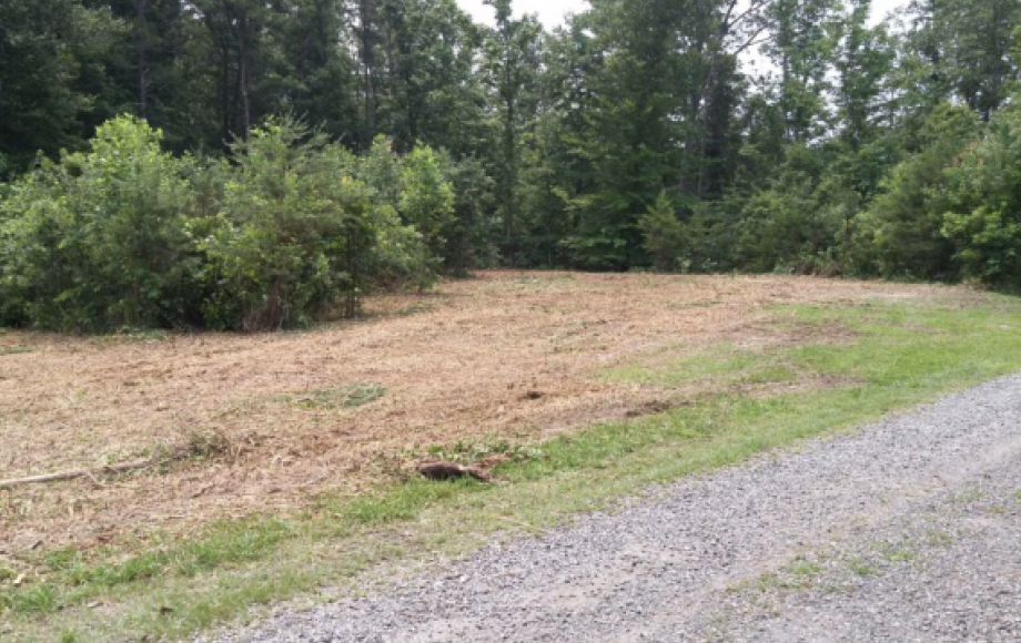 Image for ABSOLUTE ONLINE ONLY AUCTION—3 BUILDING LOTS IN ORANGE COUNTY, VA