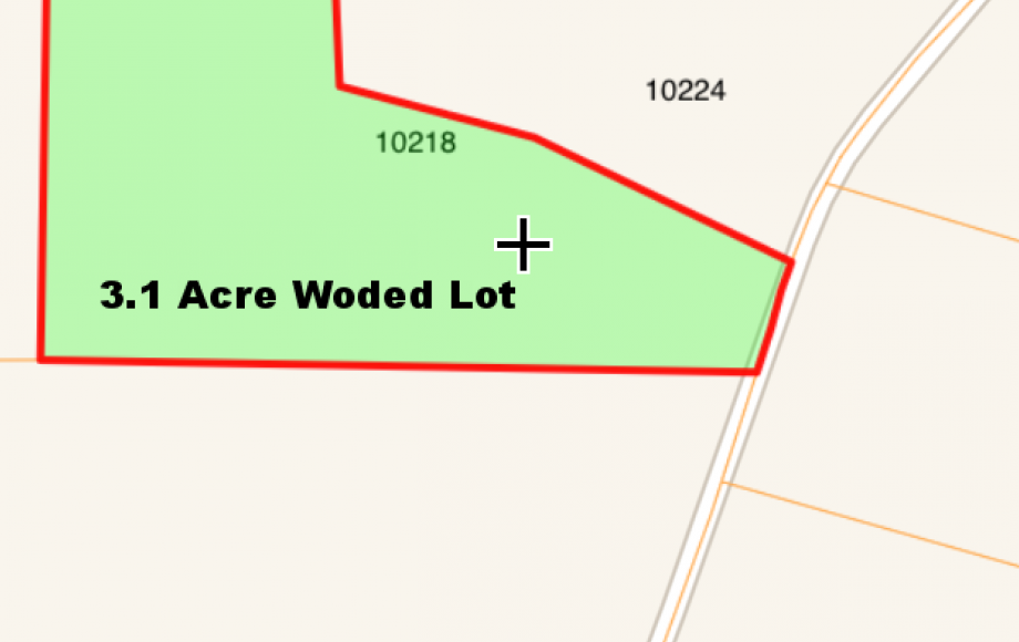 Image for 2 BR/3 BA HOME on 4.6 +/- ACRES & 3.1 +/- ACRE ADJACENT WOODED LOT