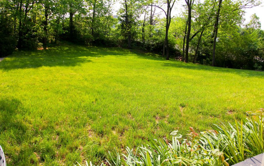 Image for 3 BR/2 BA HOME on .55 +/- ACRES in STERLING, VA