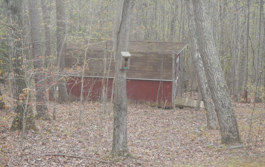 Image for 3 BR/2 BA HOME on 11+ ACRES w/POND & ADDITIONAL 3.9 ACRE ADJACENT BUILDING LOT