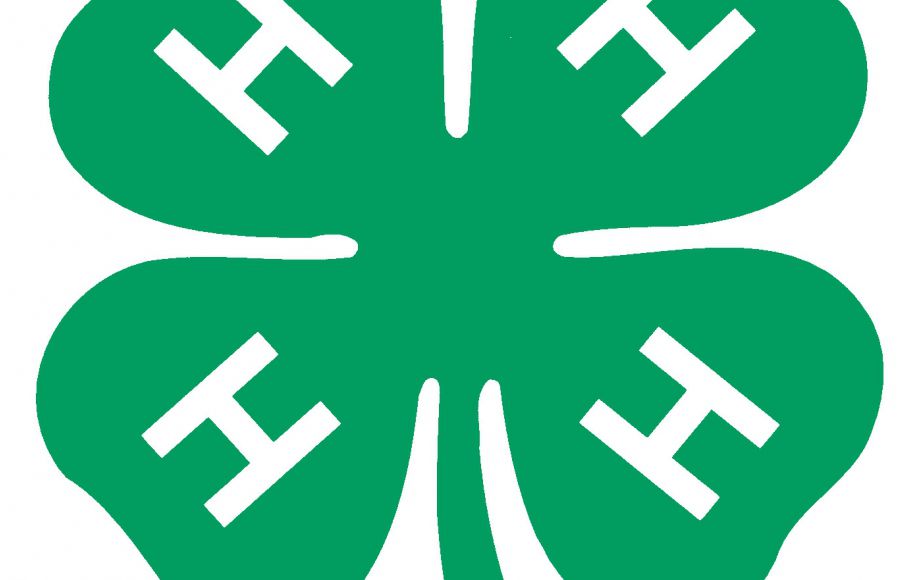 Image for 68th ANNUAL 4H/FFA FREDERICKSBURG AREA SHOW & AUCTION