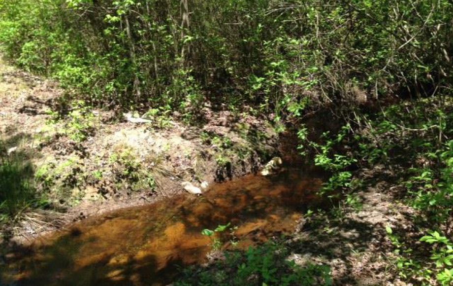 Image for ONLINE ONLY AUCTION—PICTURESQUE 13.98 +/- ACRES in HANOVER COUNTY, VA