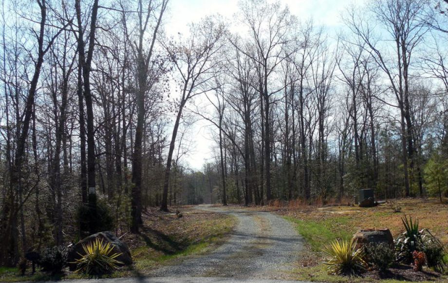 Image for ONLINE ONLY AUCTION—PICTURESQUE 13.98 +/- ACRES in HANOVER COUNTY, VA