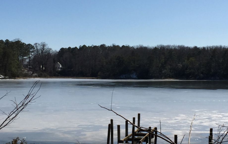 Image for .5 +/- ACRE WATERFRONT LOT on PARROTT’S CREEK