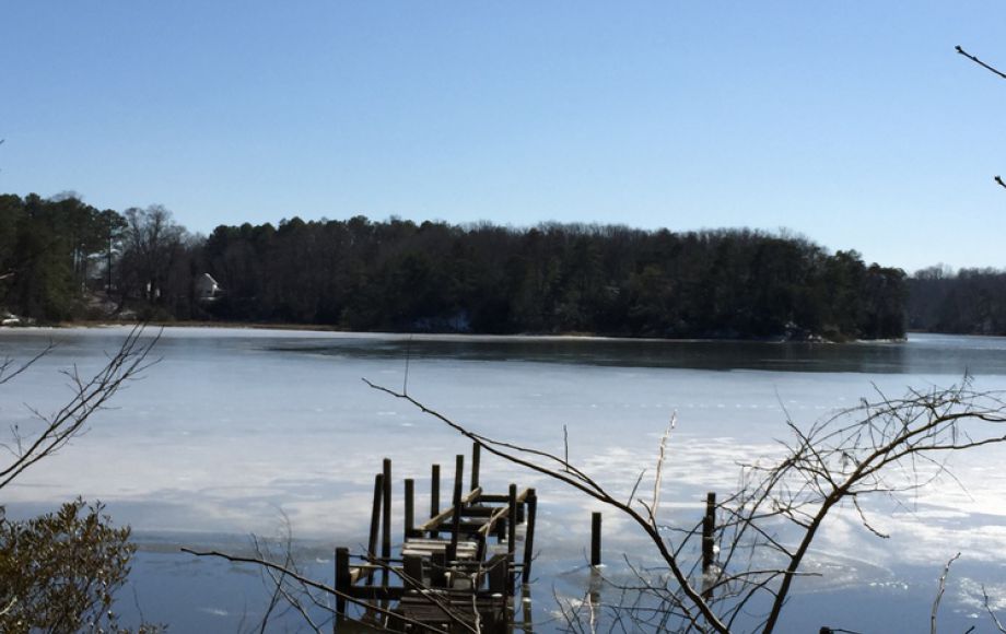 Image for .5 +/- ACRE WATERFRONT LOT on PARROTT’S CREEK