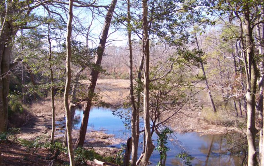 Image for 4 BR/4 BA HOME on 4.6 +/- ACRES