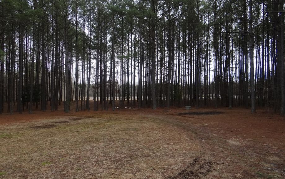 Image for 3 BR/2 BA BRICK HOME on 5 +/- ACRES w/OUTBUILDINGS