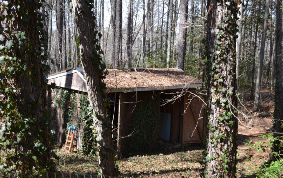 Image for 3 BR/2 BA HOME on 5 ACRES & EXTRA 5 ACRE BUILDING LOT