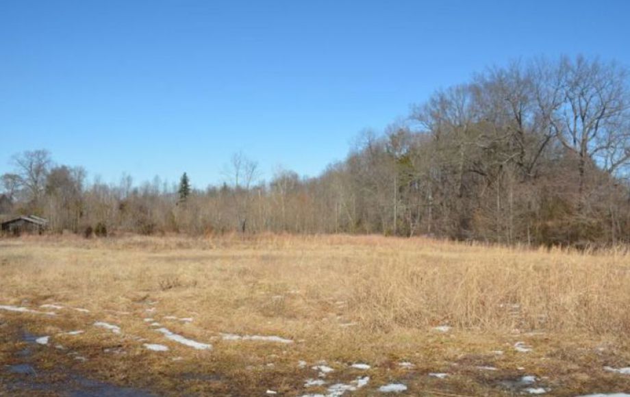 Image for 18 +/- ACRES in CULPEPER, VA