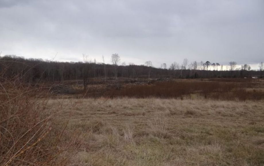 Image for 83 +/- ACRES SOLD to the HIGHEST BIDDER!!