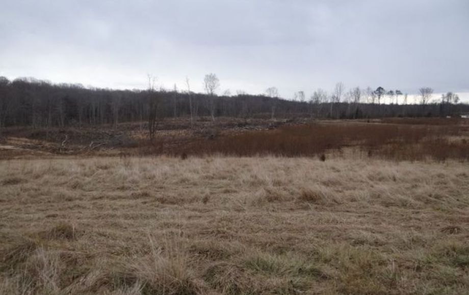 Image for 83 +/- ACRES SOLD to the HIGHEST BIDDER!!