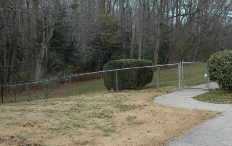 Image for 3 BR/2.5 BA Brick Home on 3 +/- acres