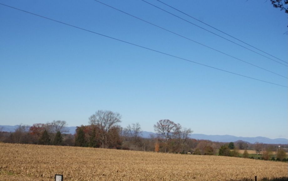 Image for 3BR/2BA Ranch on 22+/- Acres in Orange County