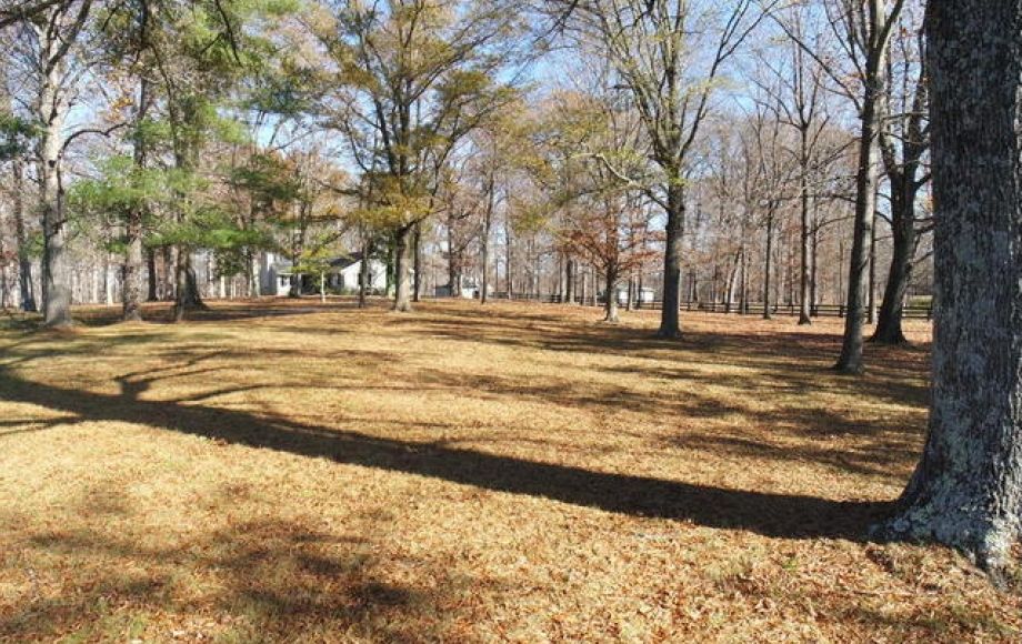 Image for 3BR/2BA Ranch on 22+/- Acres in Orange County