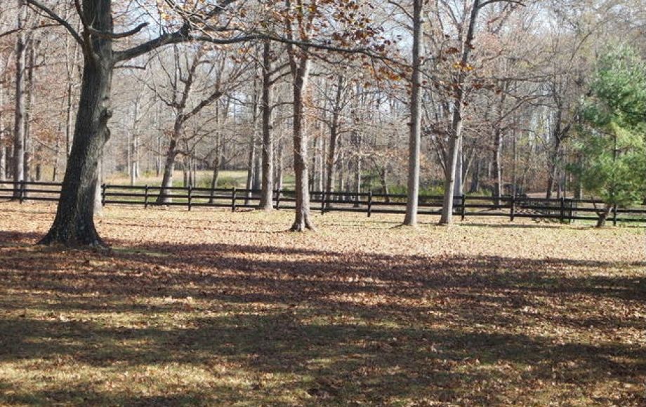 Image for 3BR/2BA Ranch on 22+/- Acres in Orange County