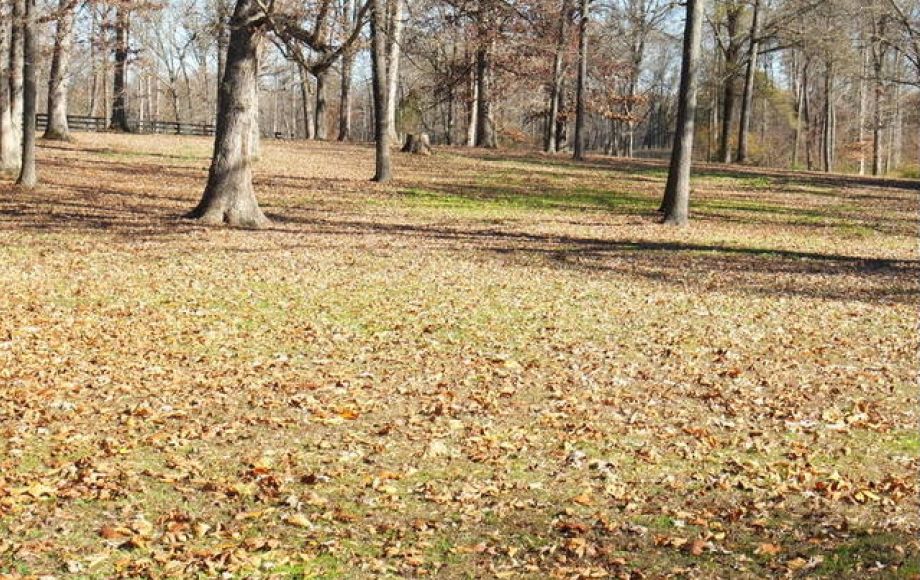 Image for 3BR/2BA Ranch on 22+/- Acres in Orange County