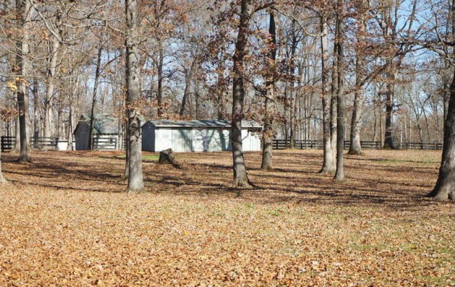 Image for 3BR/2BA Ranch on 22+/- Acres in Orange County