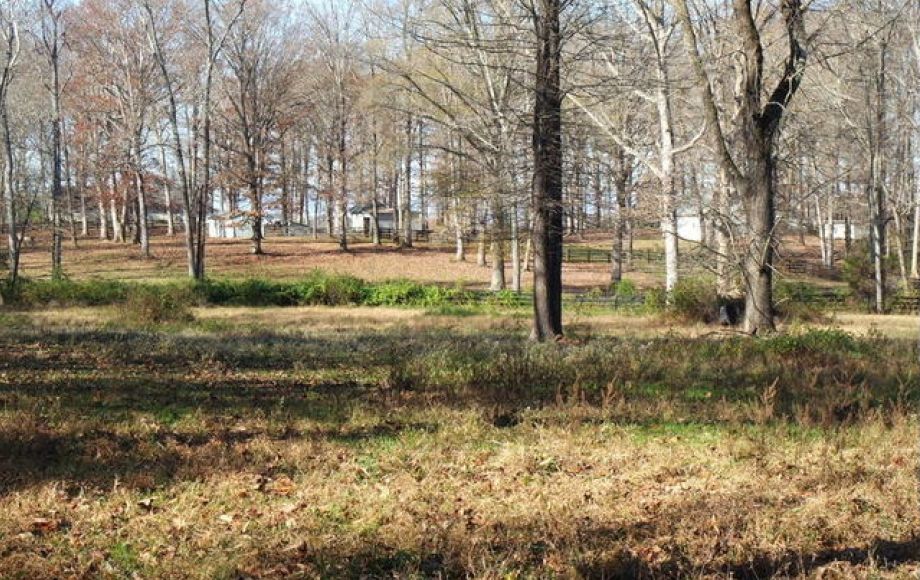 Image for 3BR/2BA Ranch on 22+/- Acres in Orange County