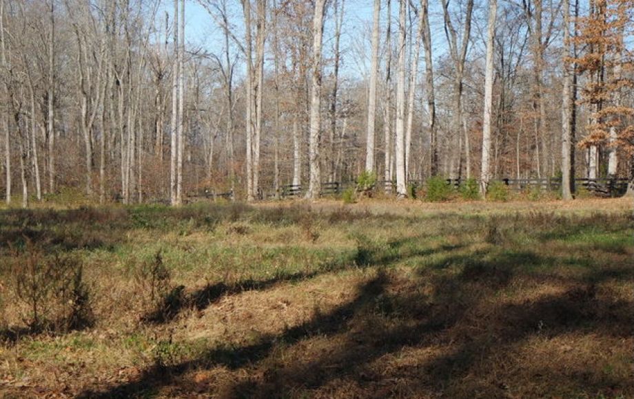 Image for 3BR/2BA Ranch on 22+/- Acres in Orange County