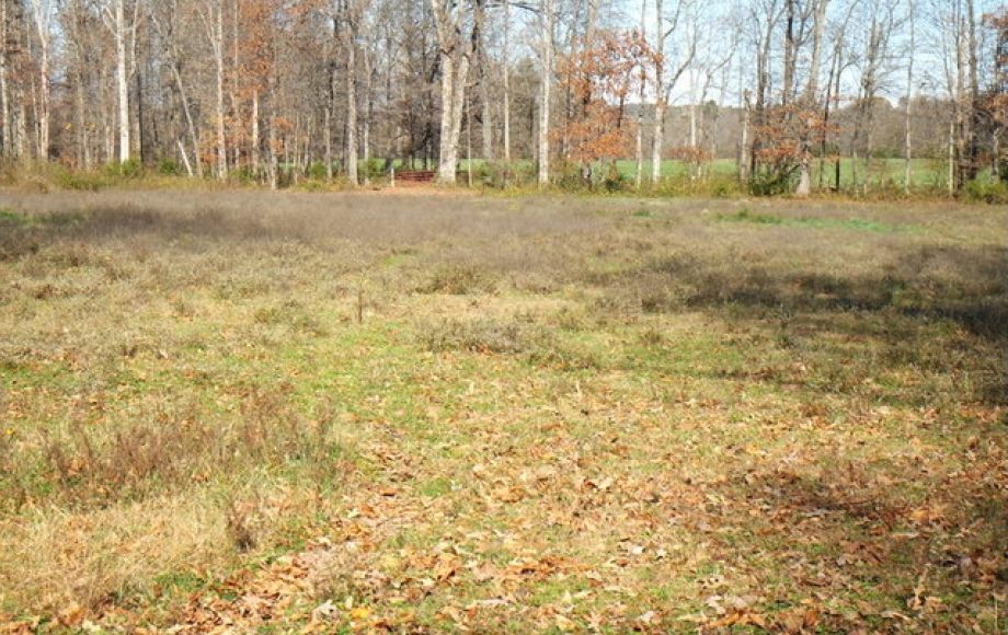 Image for 3BR/2BA Ranch on 22+/- Acres in Orange County