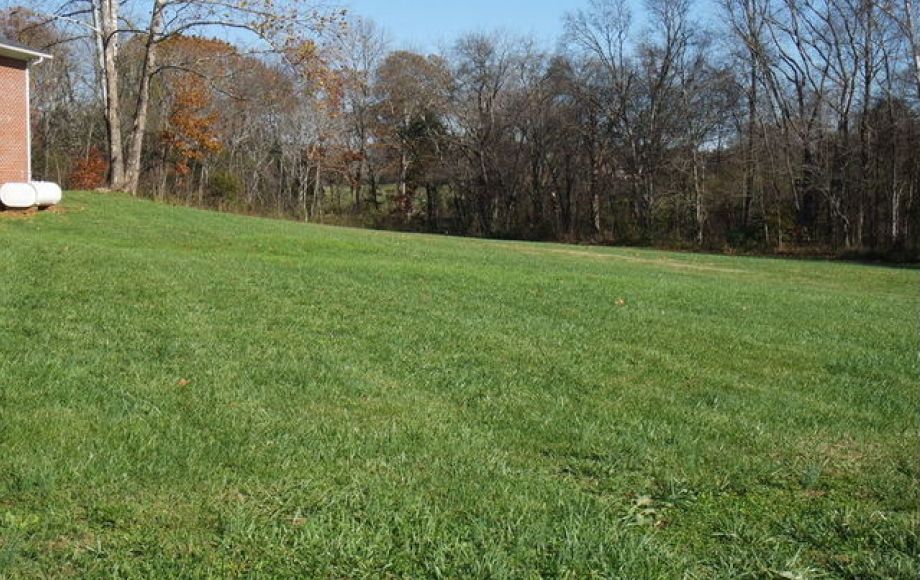 Image for 3 BR/1.5 BA Home & 24′ X 32′ Workshop ON 2.8 +/- Acres