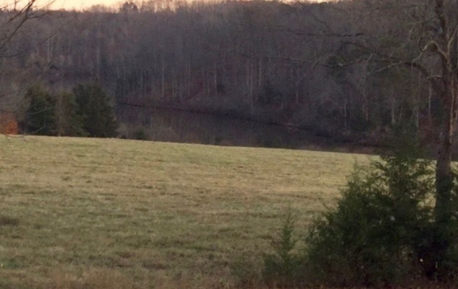 Image for 4 BR/3 BA LAKE FRONT HOME ON 25.7+/- ACRES