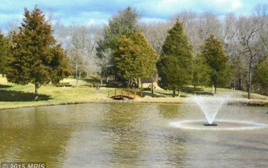 Image for GORGEOUS 5 BR/5.5 BA ESTATE HOME on 10.5 +/- ACRES IN QUAIL TRAIL ESTATES - FAUQUIER COUNTY, VA