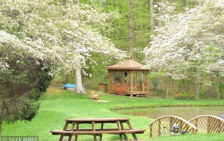 Image for GORGEOUS 5 BR/5.5 BA ESTATE HOME on 10.5 +/- ACRES IN QUAIL TRAIL ESTATES - FAUQUIER COUNTY, VA