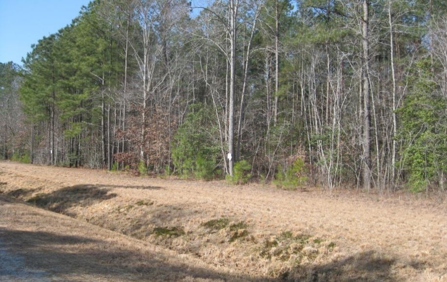 Image for 8 BUILDING LOTS in SURRY COUNTY, VA - FROM 5 TO 9 ACRES - ONLINE BIDDING ONLY!!