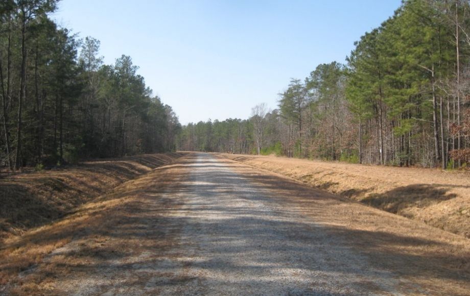 Image for 8 BUILDING LOTS in SURRY COUNTY, VA - FROM 5 TO 9 ACRES - ONLINE BIDDING ONLY!!