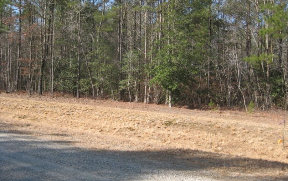 Image for 8 BUILDING LOTS in SURRY COUNTY, VA - FROM 5 TO 9 ACRES - ONLINE BIDDING ONLY!!
