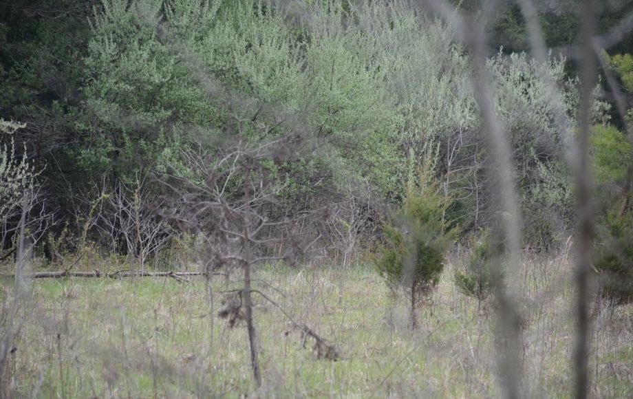 Image for 3BR/2.5 BA HOME on 8+/- ACRES IN PRINCE WILLIAM COUNTY, VA