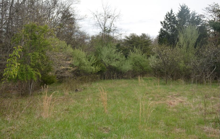 Image for 3BR/2.5 BA HOME on 8+/- ACRES IN PRINCE WILLIAM COUNTY, VA