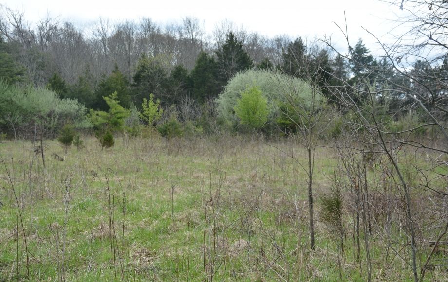 Image for 3BR/2.5 BA HOME on 8+/- ACRES IN PRINCE WILLIAM COUNTY, VA