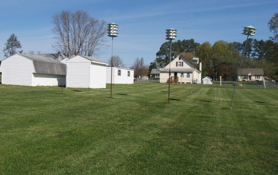 Image for 3 BR/1 BA HOME ON 1.3 +/- ACRES w/SHOP & OUTBUILDINGS in Orange County, Virginia