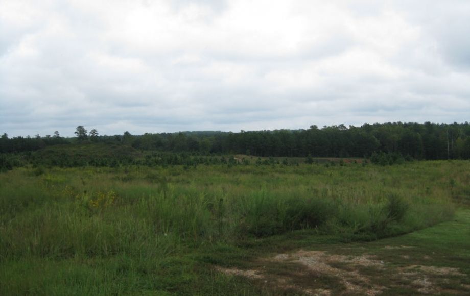 Image for 27 +/- ACRES NEAR WALMART & I-85 in the BUSINESS DISTRICT in SOUTH HILL, VA