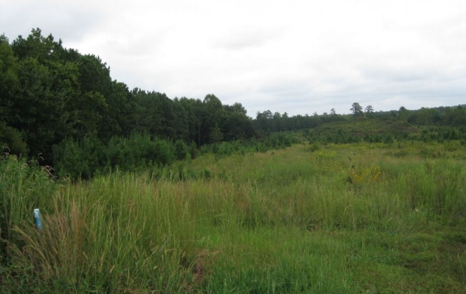 Image for 27 +/- ACRES NEAR WALMART & I-85 in the BUSINESS DISTRICT in SOUTH HILL, VA