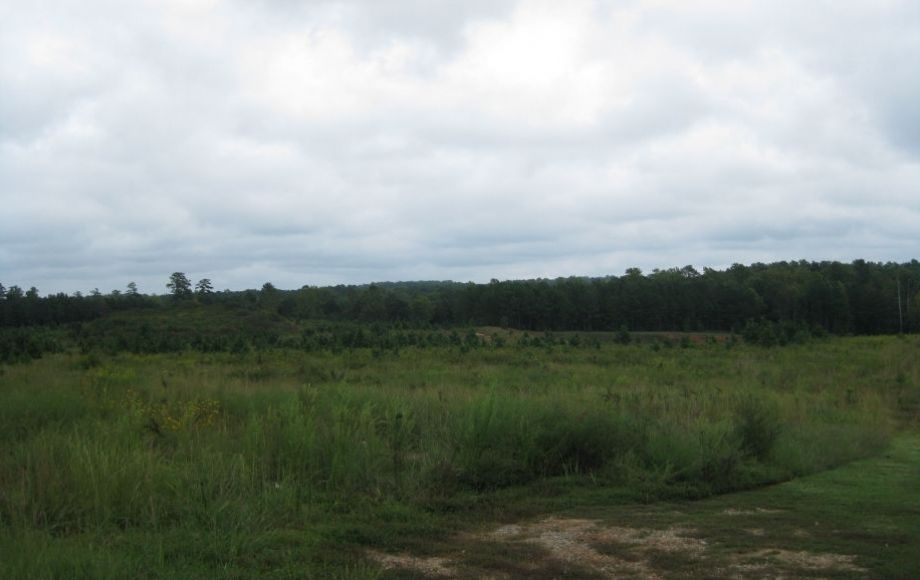 Image for 27 +/- ACRES NEAR WALMART & I-85 in the BUSINESS DISTRICT in SOUTH HILL, VA