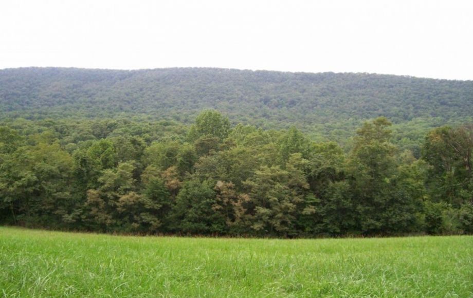 Image for 988 +/- ACRES in the FOOTHILLS of the ALLEGHENY MOUNTAINS OFFERED in 9 TRACTS