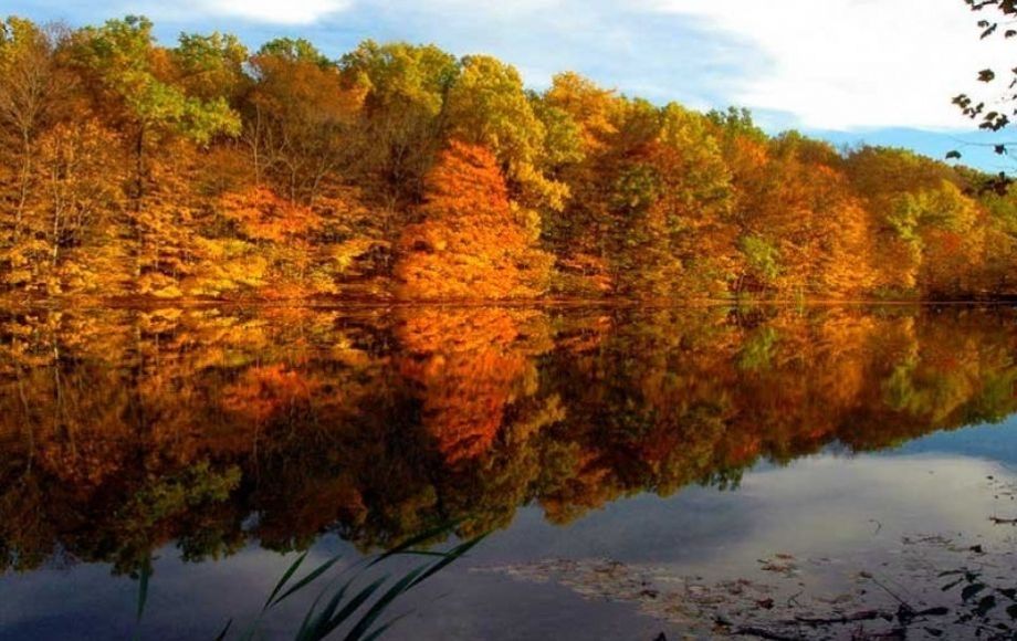 Image for 988 +/- ACRES in the FOOTHILLS of the ALLEGHENY MOUNTAINS OFFERED in 9 TRACTS