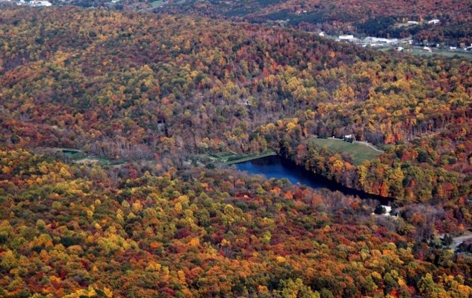 Image for 988 +/- ACRES in the FOOTHILLS of the ALLEGHENY MOUNTAINS OFFERED in 9 TRACTS