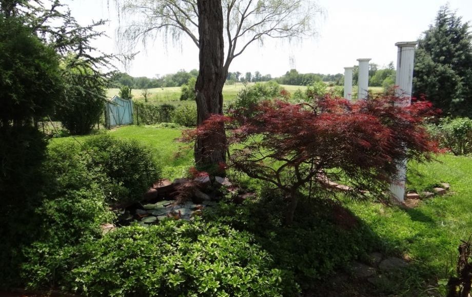 Image for 3 BR/3BA HOME w/2 STORY OUTBUILDING ON 52.5+/- ACRES IN FAUQUIER COUNTY, VA