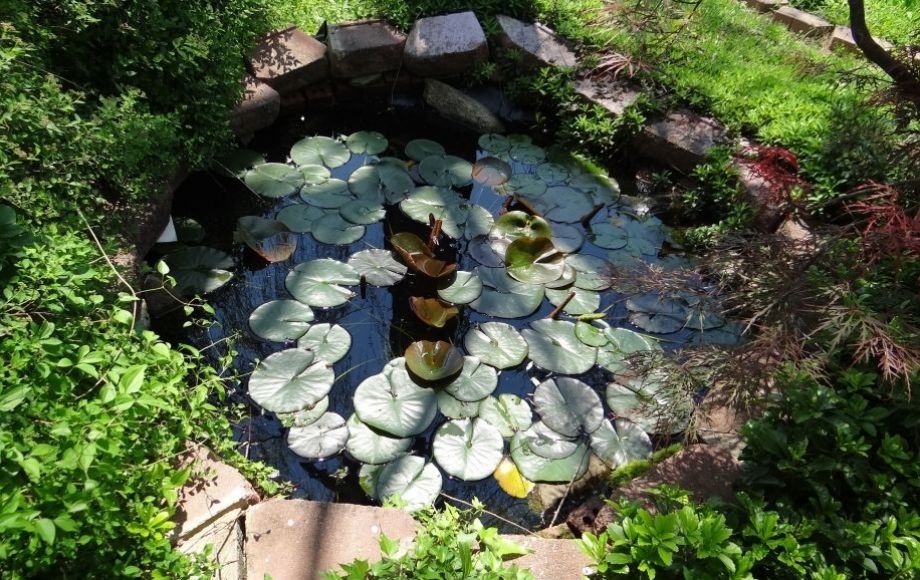 Image for 3 BR/3BA HOME w/2 STORY OUTBUILDING ON 52.5+/- ACRES IN FAUQUIER COUNTY, VA