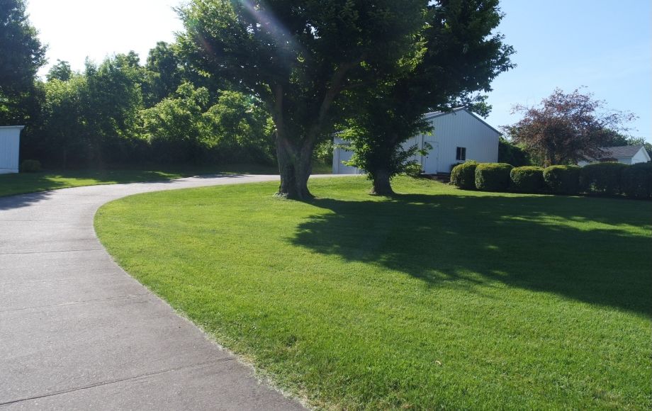 Image for STATELY 3 BR/2 BA HOME on 1.2 ACRES & .5 ACRE ADJACENT BUILDING LOT in DOWNTOWN STANDARDSVILLE, VA