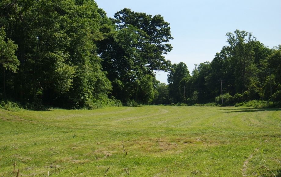 2016-06-10 10.11.42-2