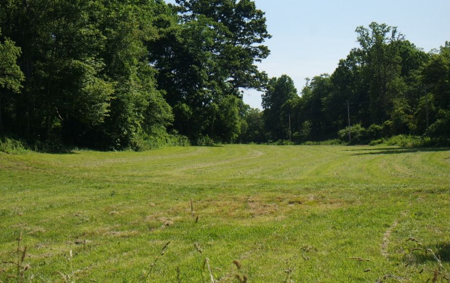 2016-06-10 10.11.44-2