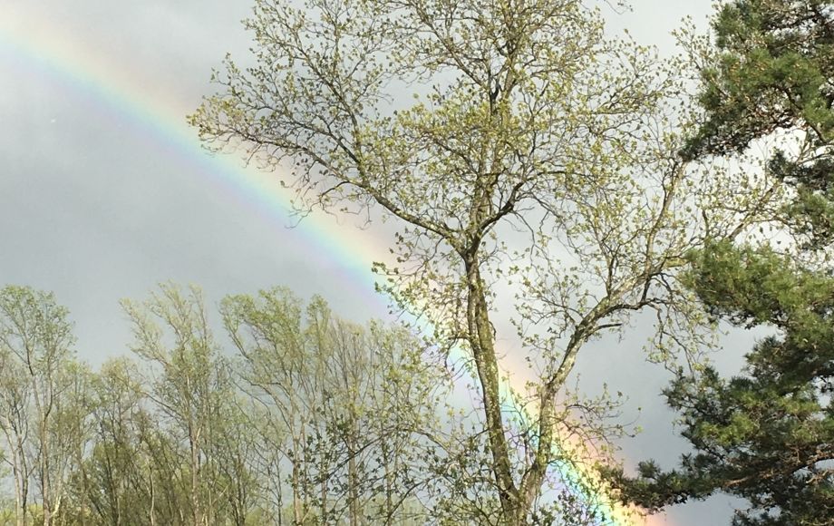 Image for WELL MAINTAINED 3 BR/3.5 BA HOMEon 10+ ACRES in CULPEPER, VA - SOLD to the HIGHEST BIDDER!!